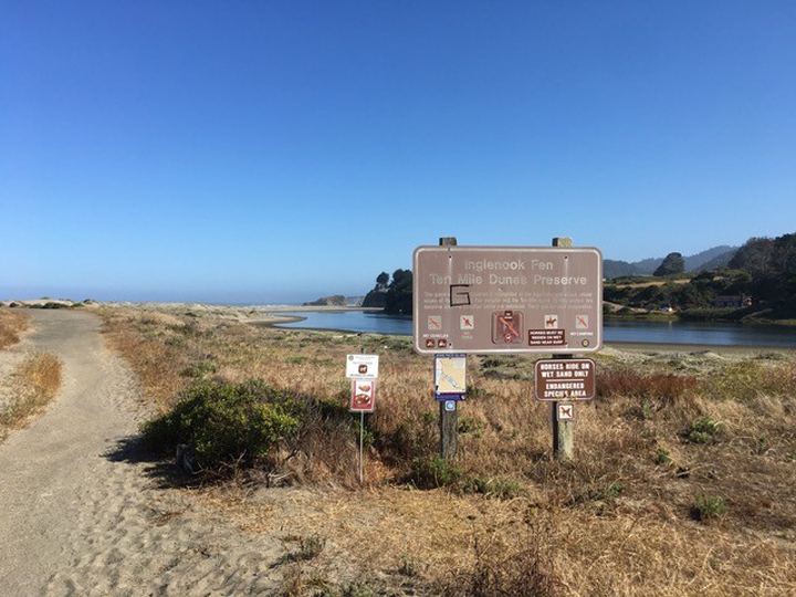 signage next to a sandy trail through grassy dunes